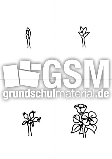 Der Apfel im Unterricht 44.pdf